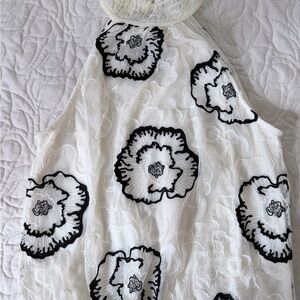 Express Lace Trim Top in Cream and Black